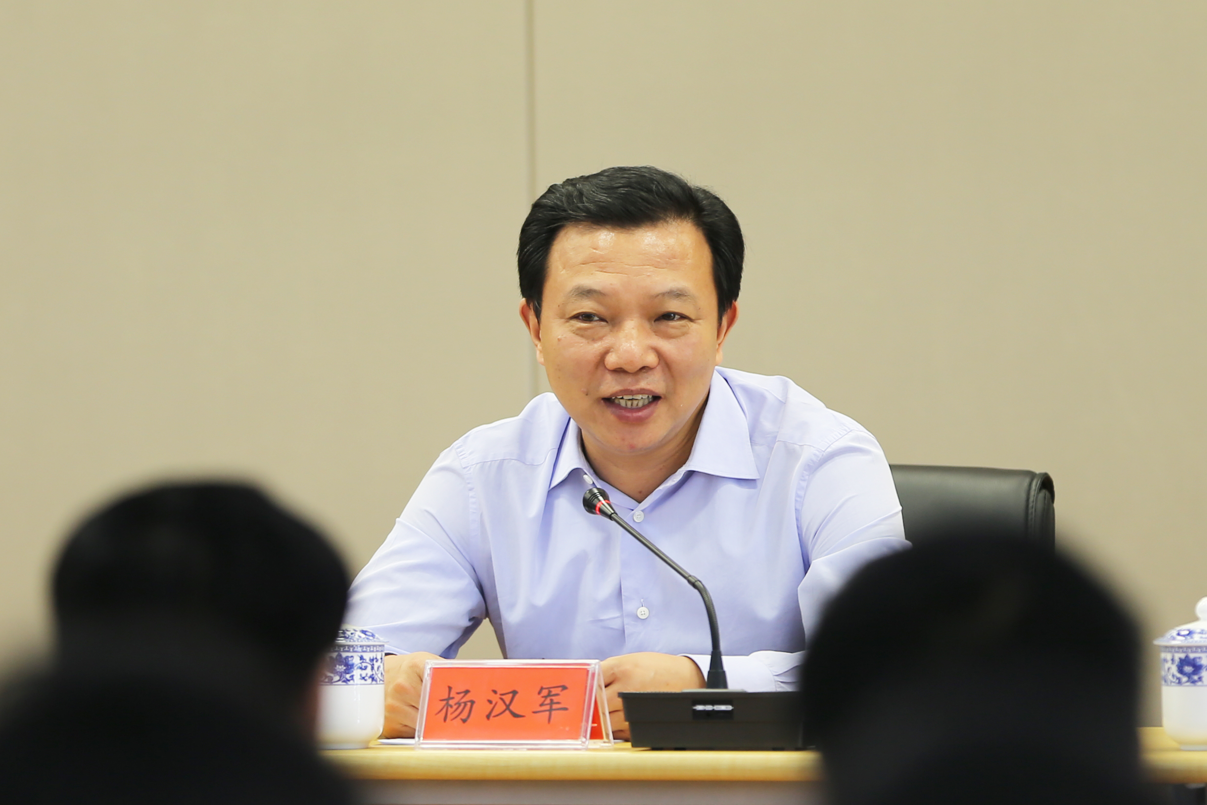 武汉市委常委,组织部部长杨汉军同志